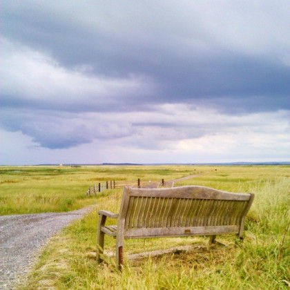 Margaret's and Tony's bench